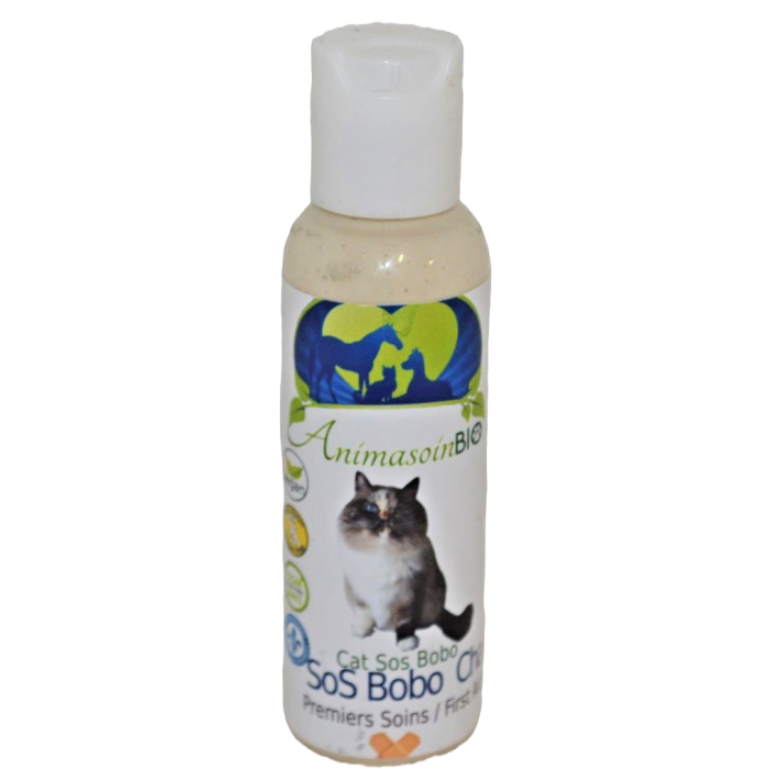 SOS bobo Félin
