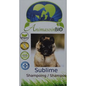 Shampoing : sublime 