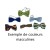 Couleur masculine 